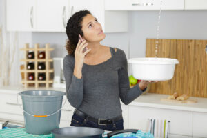 landlord responsibilities, tenant duties